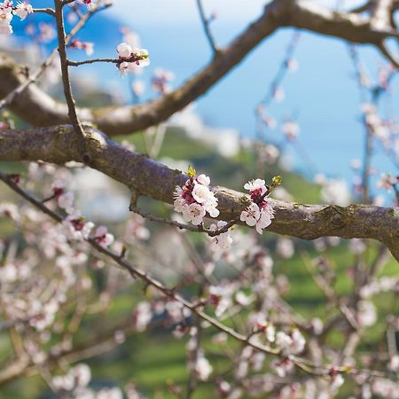 Apartament Casa Pina Amalfi Zewnętrze zdjęcie