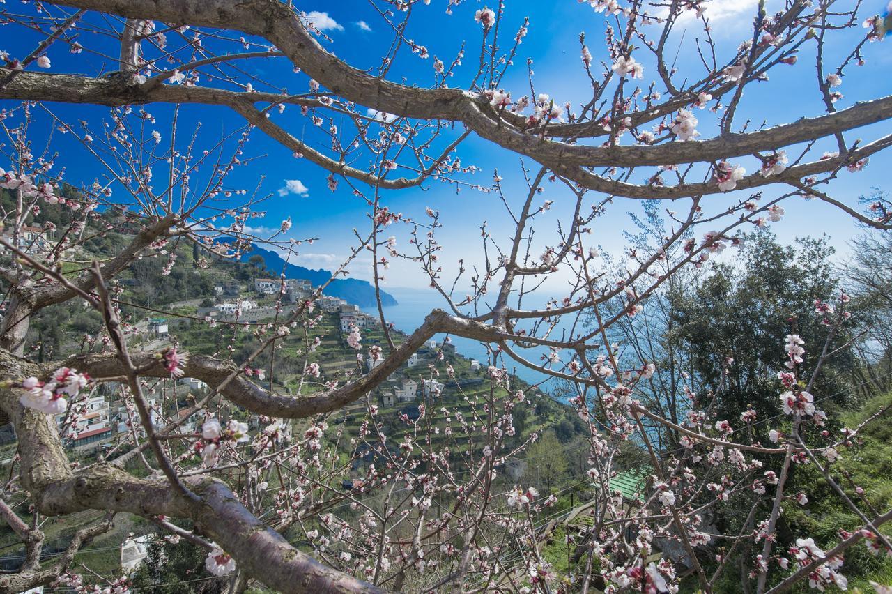 Apartament Casa Pina Amalfi Zewnętrze zdjęcie