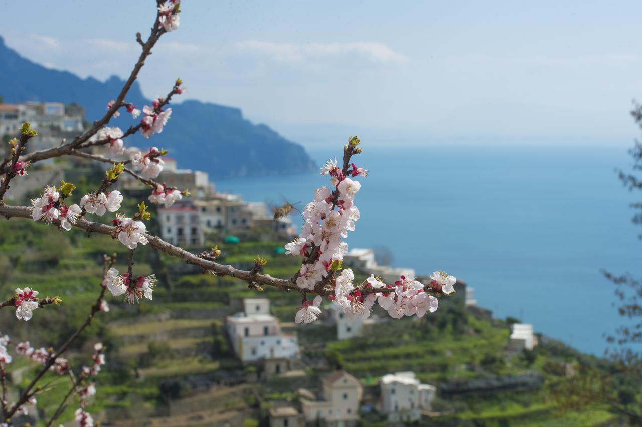 Apartament Casa Pina Amalfi Zewnętrze zdjęcie