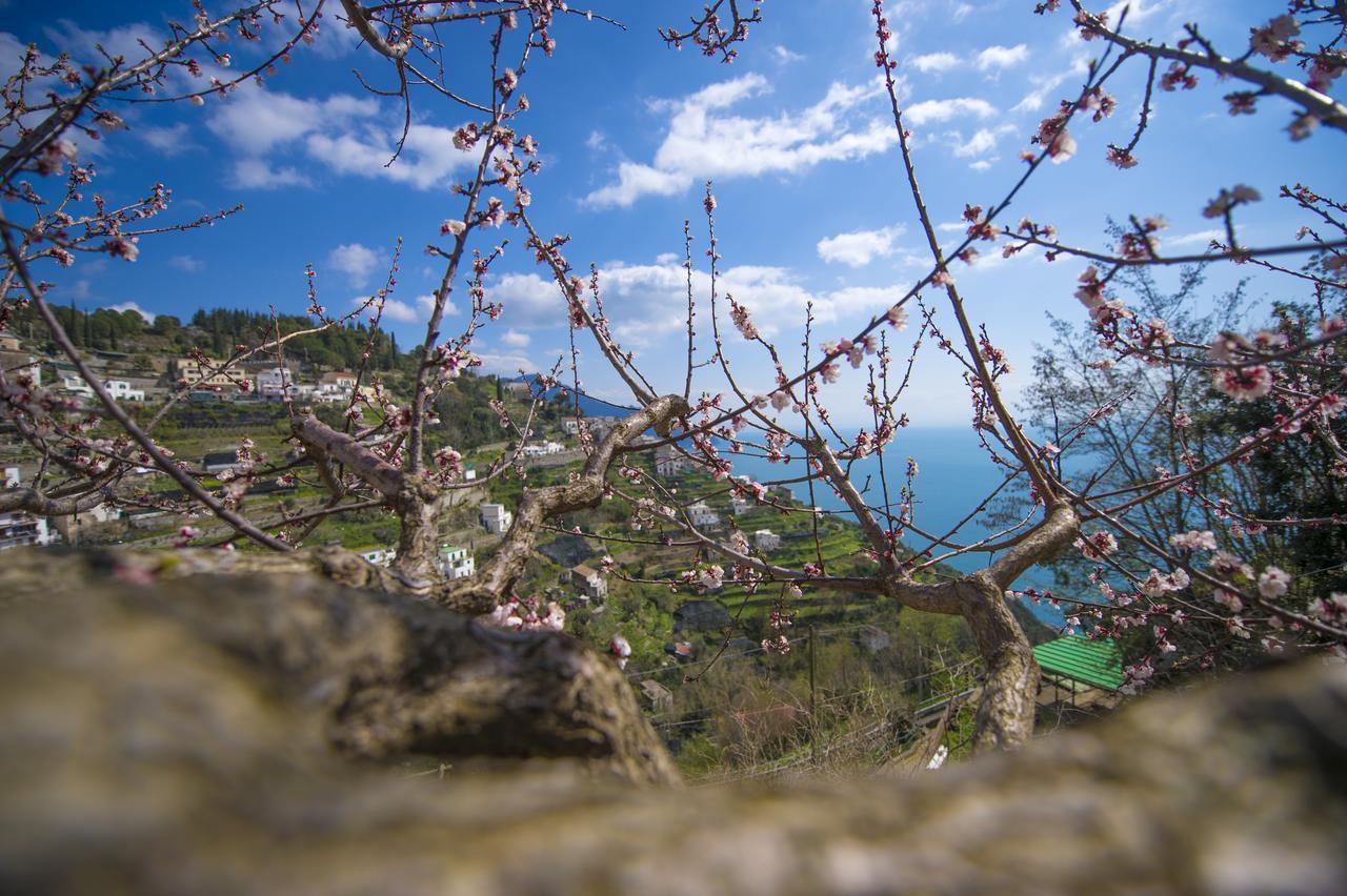 Apartament Casa Pina Amalfi Zewnętrze zdjęcie